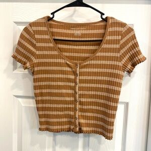 American Eagle Outfitters Tan Striped Crop Top